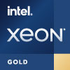Xeon Gold ProcessorBadge